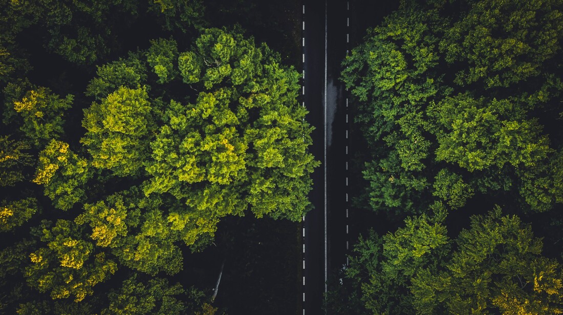 CT-we-go-green (003)_8lln4n7fhtr0.jpg CT-we-go-green (003)_8lln4n7fhtr0.jpg